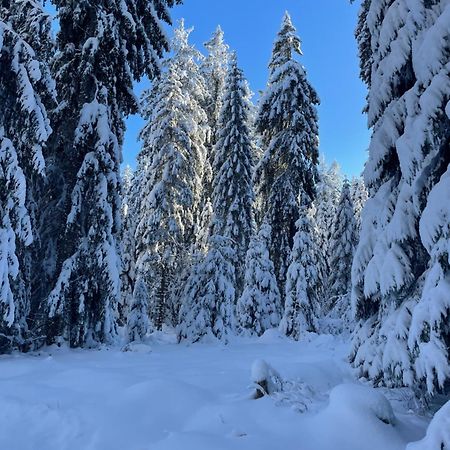 Ferienhaus Laura Renchen Kültér fotó